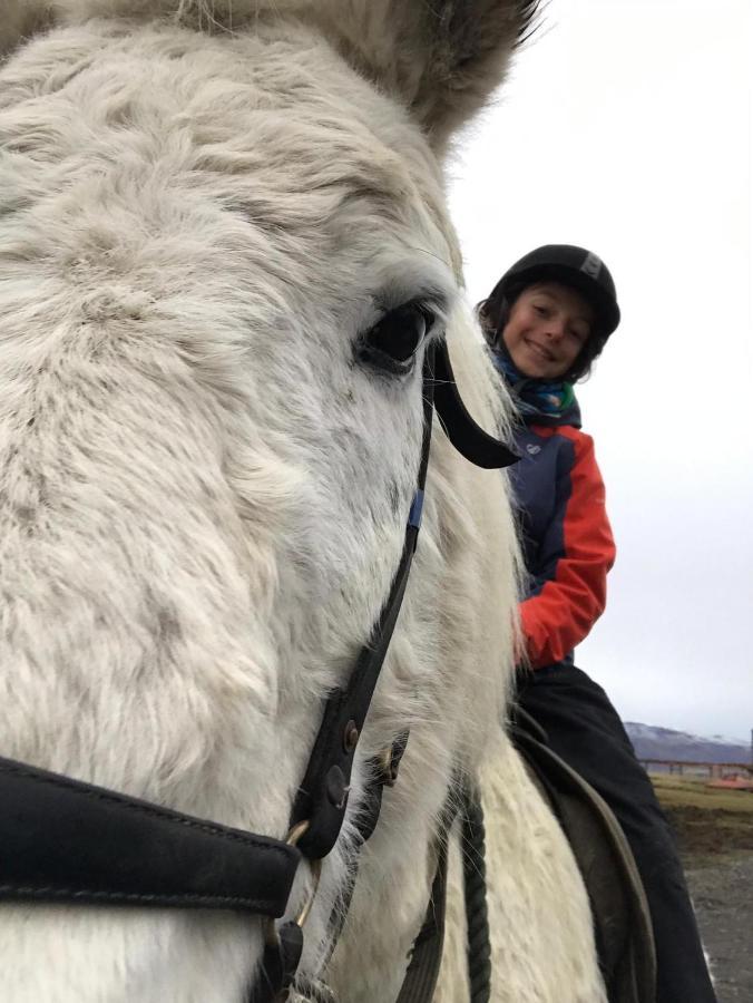 Husey Hostel & Horsefarm エイイルススタジル エクステリア 写真