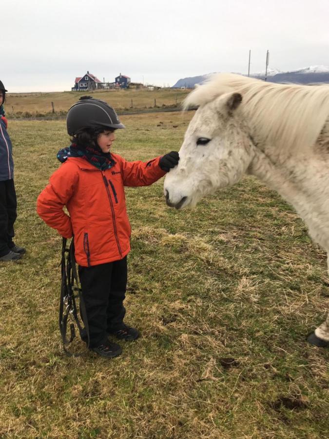 Husey Hostel & Horsefarm エイイルススタジル エクステリア 写真