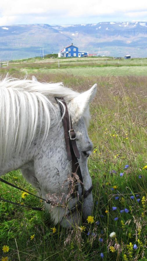 Husey Hostel & Horsefarm エイイルススタジル エクステリア 写真